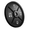 25KG - Riot Cast Iron Plate