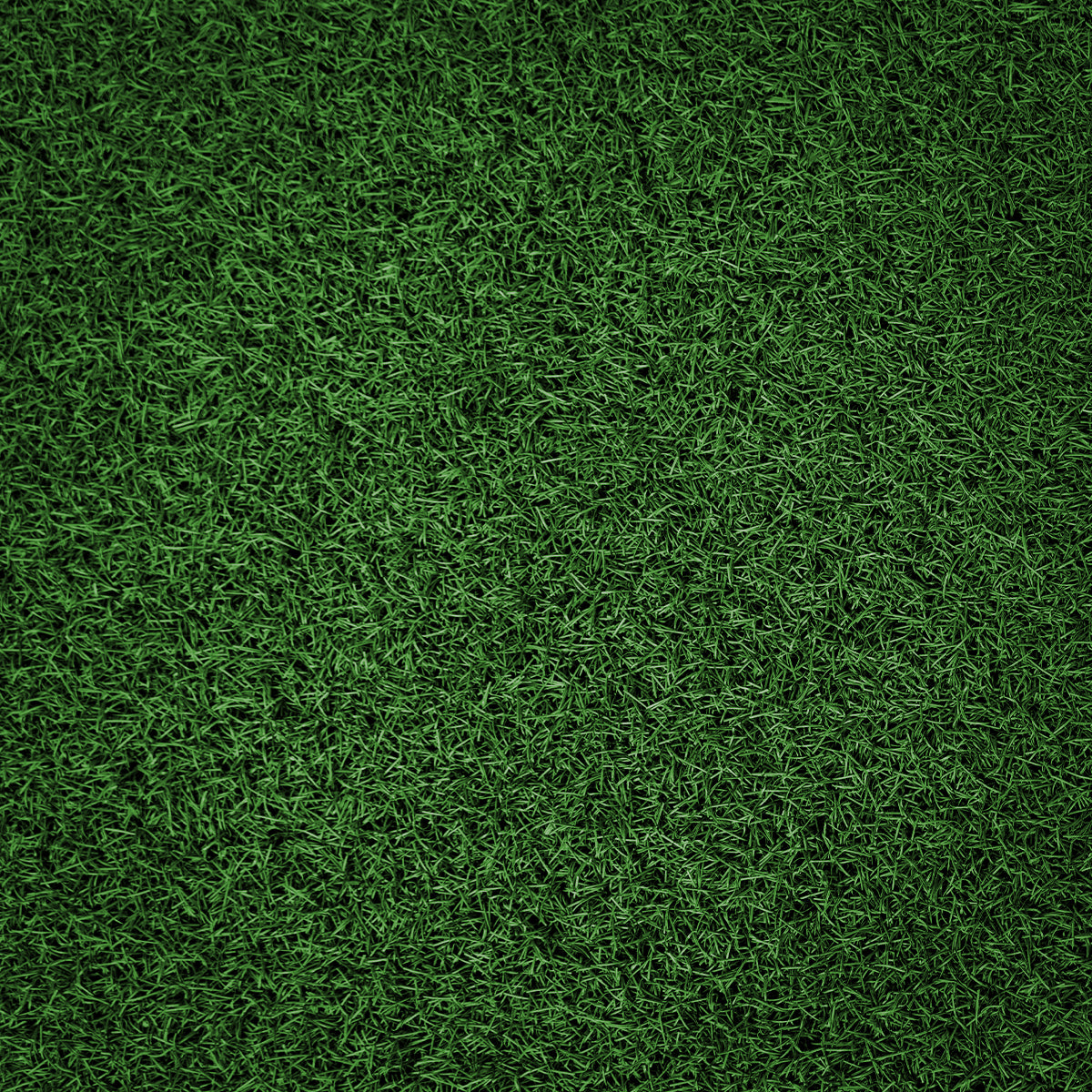 B-WARE Synthetic Training Turf – Dark Green, 20m & 2m - Strength Shop